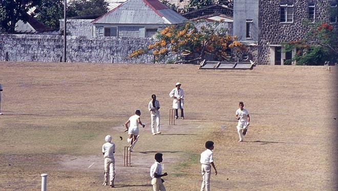 Caribbean Canter cricket St Kitts ©  SW